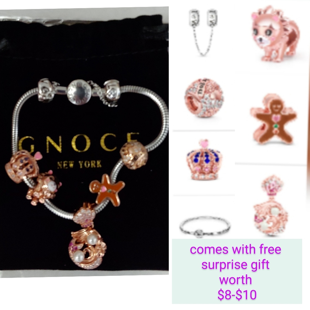 NWT GNOCE bracelet and 5 charms